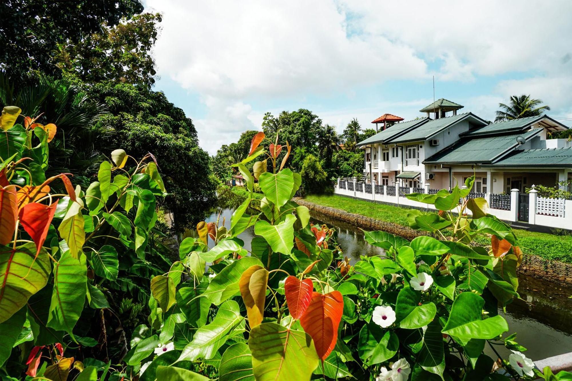 Ayur Ayur White Sail Villa Dalupotha المظهر الخارجي الصورة